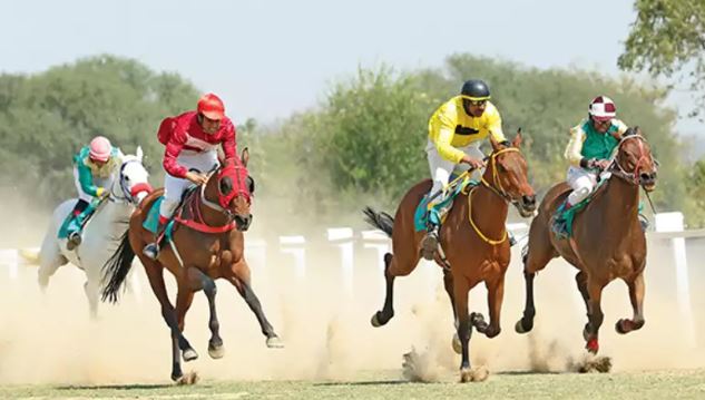 horse-racing-india